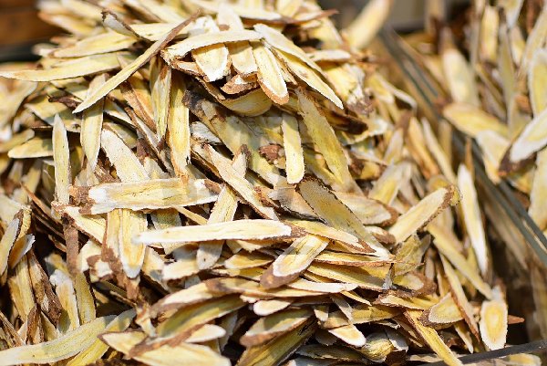 감초 뿌리의 외관과 특징