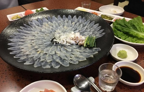 일본식 복어 사시미 플레이팅