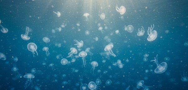 전쟁터에서 평화롭게 잠든 군인의 실루엣